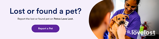 Petco Love Lost: Report a Lost Pet